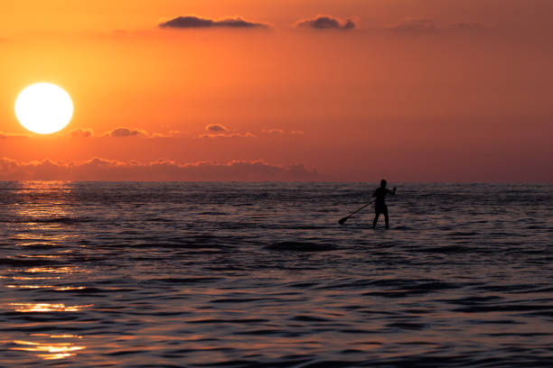 People surfing with a paddle in the sea at sunset