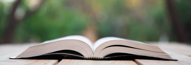 istock Open Holy Bible in nature 2151015402