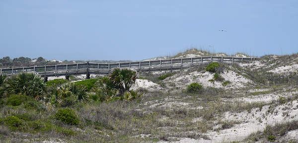 Wooden boardwalk entrance to  State Park ocean beach St. Augustine, Florida.