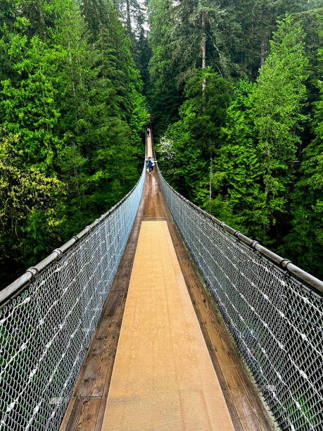 istock Capilano Suspension Bridge - Vancouver, BC 2151019534
