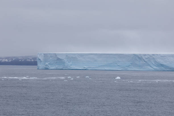 This large tabular iceberg is part of the B-15 iceberg that broke off from the Antarctic ice shelf in the year 2000.  This piece - known as B-15y - floated along the circumpolar current to the Antarctic Sound where this image was taken in early November, 2015.