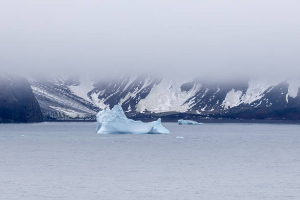 istock Antarctic Peninsula, South Shetland Island 2151022339