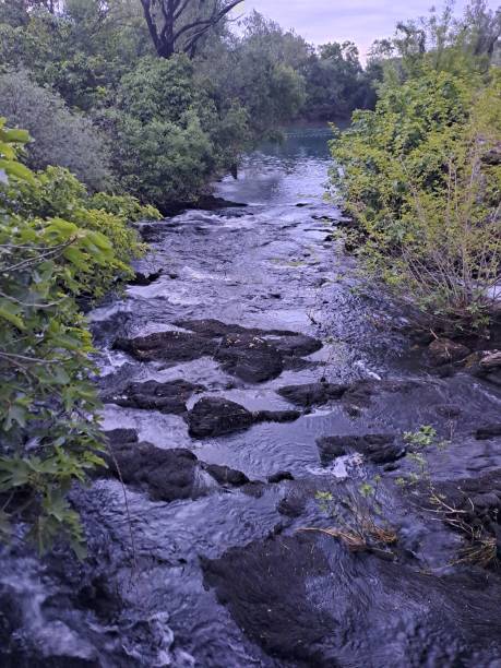 istock Brook, wild beauty places 2151027300