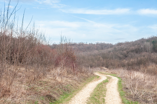 This evocative image captures a dirt path winding through the rural outskirts of Barajevo, a tranquil retreat from the bustle of urban life in Serbia. The trail invites nature enthusiasts and hikers to explore the serene landscape, characterized by its rustic charm and the peaceful ambiance of the countryside. Flanked by early signs of spring in the brush and the promise of a woodland adventure, this path embodies the simplicity and beauty of outdoor escapades in the heart of Serbia's scenic terrain.