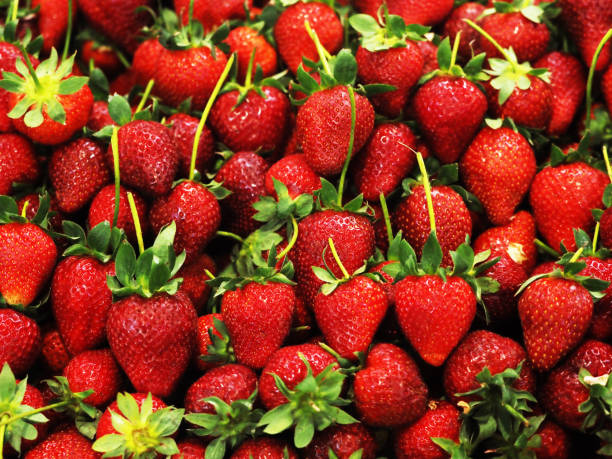 strawberries isolated over white background