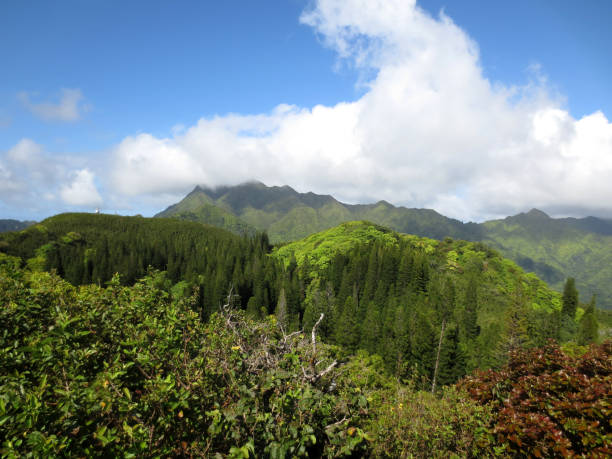 Lush green mountains under a blue sky with white clouds on Oahu, Hawaii.
