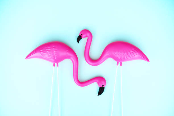 istock Colorful summer background with plastic flamingos 2151040292