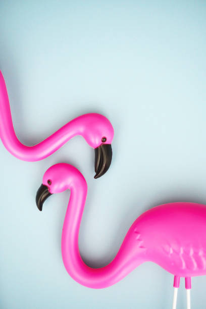 istock Colorful summer background with plastic flamingos 2151040294