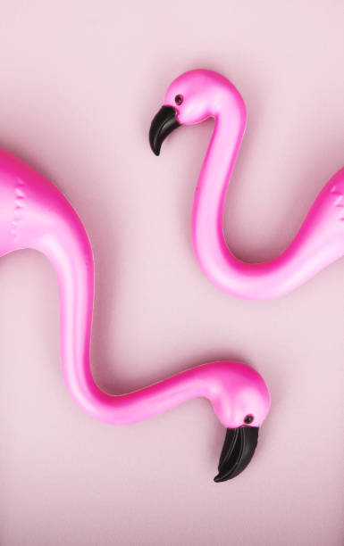 istock Colorful summer background with plastic flamingos 2151040295