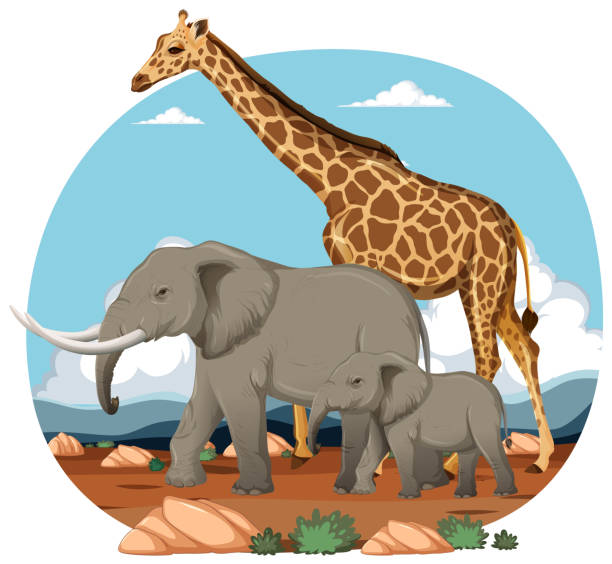 istock Giraffe and elephants in a natural African landscape. 2151042045