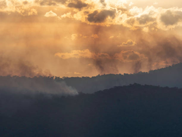 Smoke from burn off at Mount Buffalo National Park