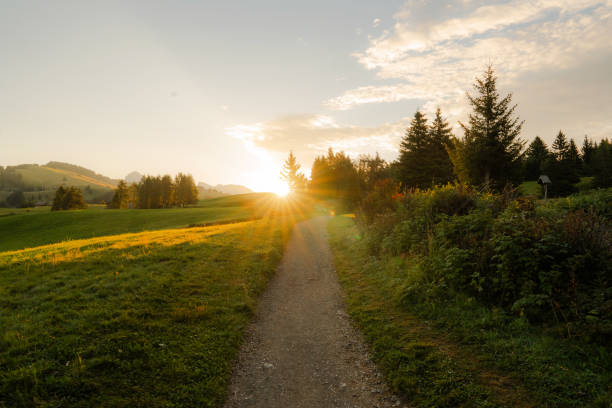 kuvapankkikuvat ja rojaltivapaat kuvat aiheesta hiking path in seiser alm at sunrise - auringonnousu