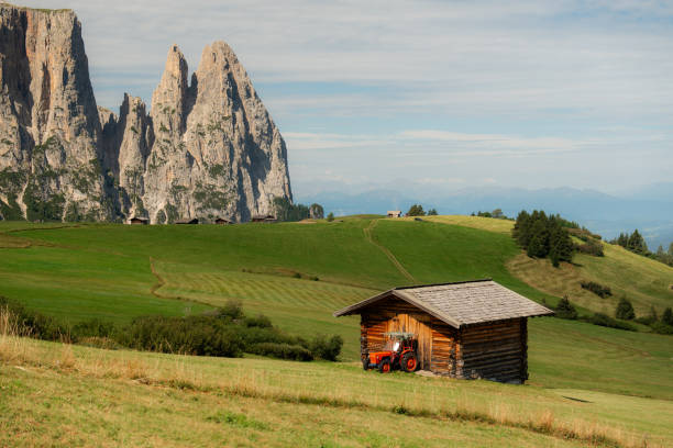 Scenic view of Alpe di Siusi  surrounded by mountains in summer