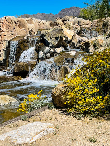 Waterfall-Spring Flowers-Azalea Walk Reserve-Gibson County Indiana