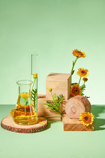 Against a green background, block of wooden decorated with fresh calendula flowers and lab glassware. Advertising photo with space for display product