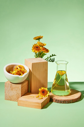 Concept for advertising cosmetics with natural ingredient - calendula. Fresh flowers with flask and wooden block decorated on a green background. Blank space for display product