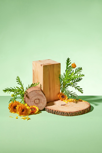 Wooden podium with fresh calendula and green leaves decorated on a green background. Scene for natural cosmetics advertising. Vertical frame for social media advertising