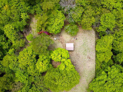 Birds eye aerial view of an observation deck in the middle of a lush, green, temperate forest