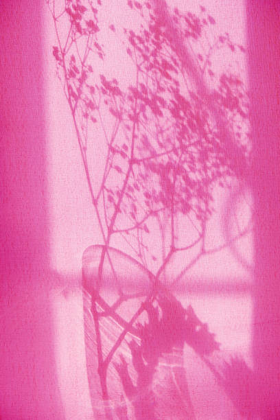 istock Light and shadow sunset, floral pattern. Vintage textile background. Abstract backdrop with crossed lines shadows. Wabi sabi style aestetics. 2151055776