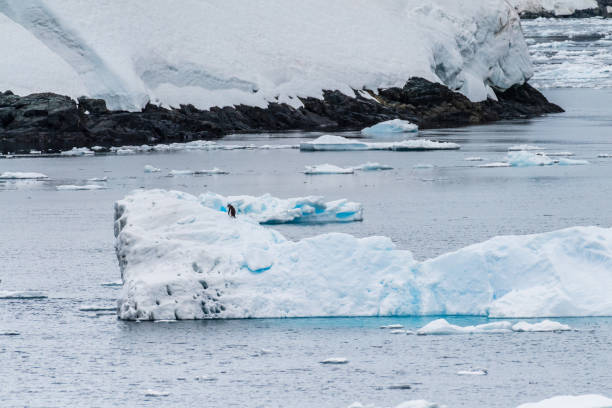 istock Landscape of the Antarctic Peninsula 2151056197