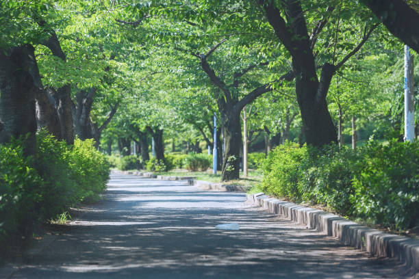 istock Kema Sakuranomiya Park in Osaka 2151056628