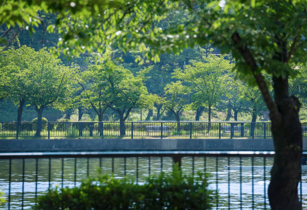 istock Kema Sakuranomiya Park in Osaka 2151056652