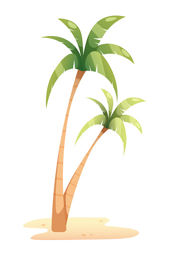 Cartoon palm trees and sand on white background. Vector element for design