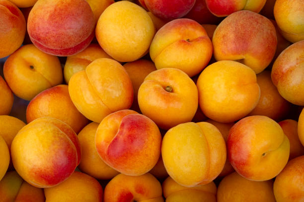 istock Fresh Apricots at the market. 2151058196