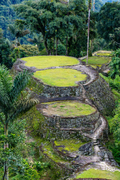 istock Ciudad Perdida, ancient ruins in Sierra Nevada mountains. Santa Marta, Colombia wilderness 2151058945