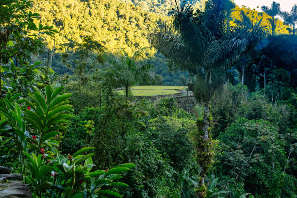 istock Ciudad Perdida, ancient ruins in Sierra Nevada mountains. Santa Marta, Colombia wilderness 2151058948
