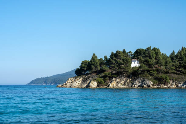 summer background