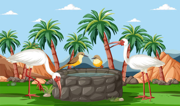 istock Colorful birds meet at a waterhole in a tropical setting. 2151060806