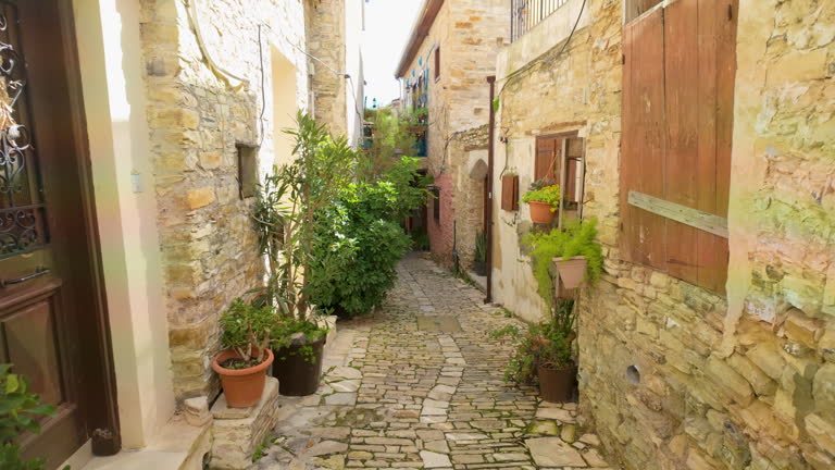 Charming narrow street in Lefkara village, Cyprus, lined with traditional stone houses adorned with potted plants, leading through the historic center