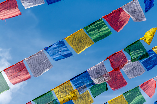 Beautiful Five color prayer flags flying in forest at Yading,sichuan china