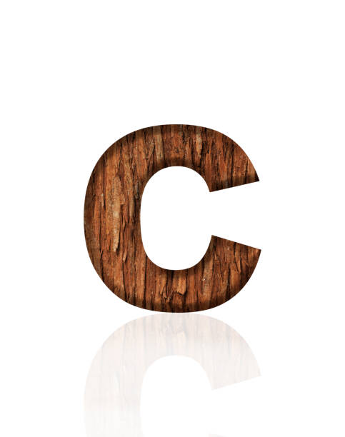 Close-up of three-dimensional tree bark alphabet letter C on white background.