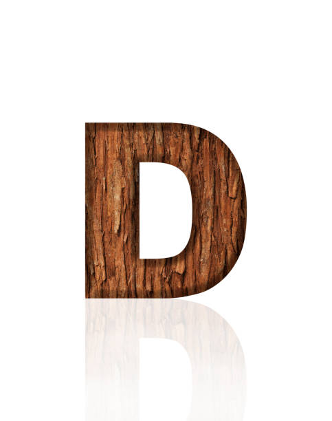 Close-up of three-dimensional tree bark alphabet letter D on white background.