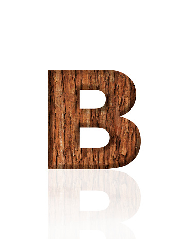 Close-up of three-dimensional tree bark alphabet letter B on white background.
