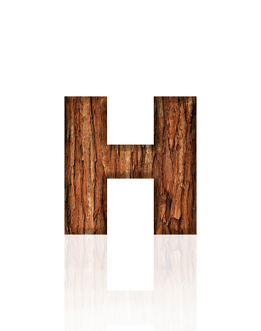 Close-up of three-dimensional tree bark alphabet letter H on white background.