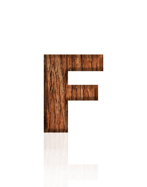 Close-up of three-dimensional tree bark alphabet letter F on white background.