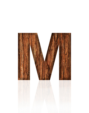Close-up of three-dimensional tree bark alphabet letter M on white background.