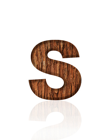 Close-up of three-dimensional tree bark alphabet letter S on white background.