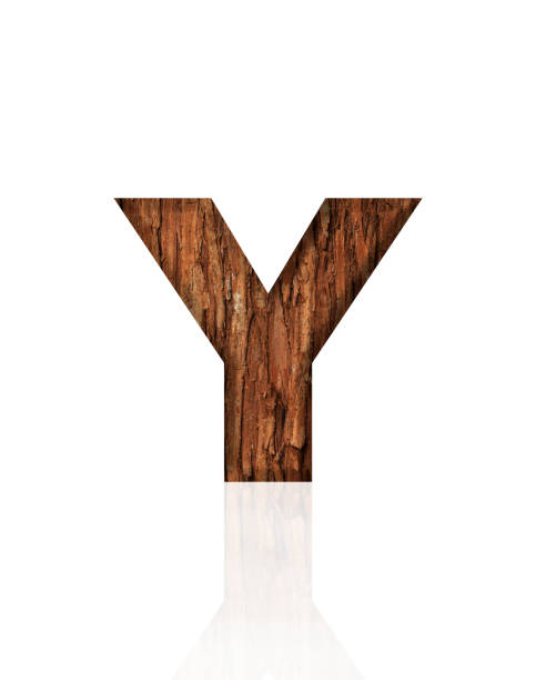Kids Alphabet Letter Y 3D illustration