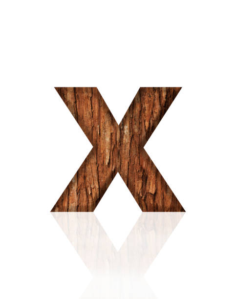Close-up of three-dimensional tree bark alphabet letter X on white background.