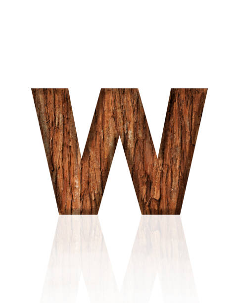 Close-up of three-dimensional tree bark alphabet letter W on white background.