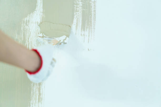 istock Woman painting the wall by herself. 2151066738