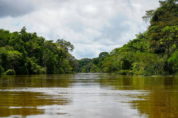 istock Amazon River Tributary, Empty with no People - Peru Stock Photo 2151067006