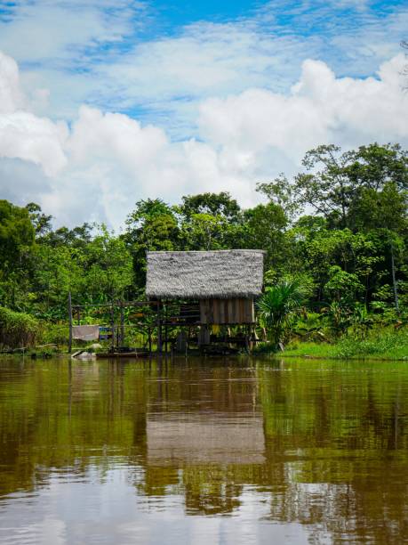 istock Amazon River House against Jungle Backdrop - Iquitos Stock Photo 2151067095