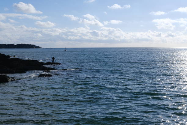 istock A french landscape at spring near Merquel point 2151068986