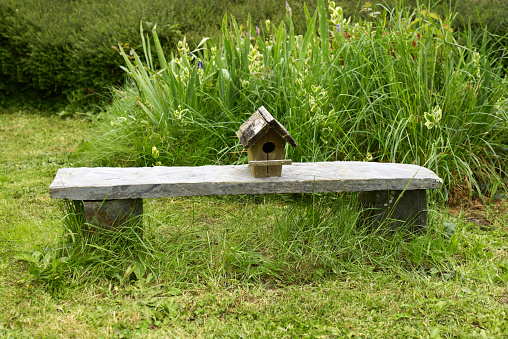 Rustic birdhouse in country garden planted with a succulent roof.