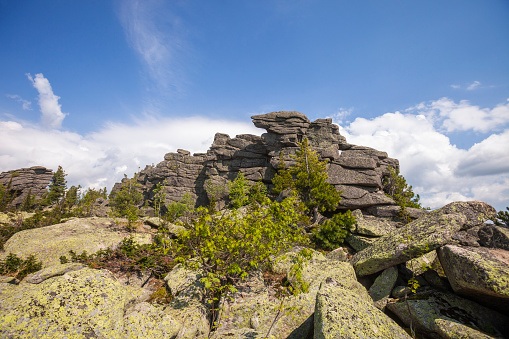 View from the remnants pillars on Mount Zelenaya. Sheregesh, Russia